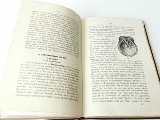 "Lehrbuch des Hufbeschlages" , sechste Auflage 1914, Herausgegeben von Generalveterinär Schlake. 349 Seiten, Eigentumstempel des "Pferdelazarett 198"