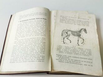 "Lehrbuch des Hufbeschlages" , sechste Auflage 1914, Herausgegeben von Generalveterinär Schlake. 349 Seiten, Eigentumstempel des "Pferdelazarett 198"