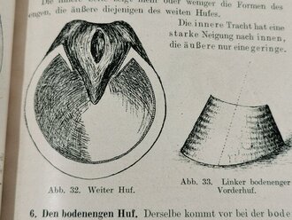 "Leitfaden des Hufbeschlages" von C.Görte Generalveterinär a.D., Berlin 1922 mit 125 Seiten