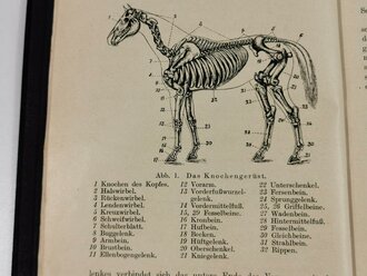 "Leitfaden des Hufbeschlages" von C.Görte Generalveterinär a.D., Berlin 1922 mit 125 Seiten