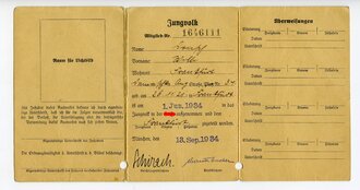 Mitgliedsausweis Deutsches Jungvolk und Vorläufiger Ausweis Hitler Jugend eines Jungen aus Frankfurt/Main, Mitgliedsausweis an der Knickfalte leicht eingerissen