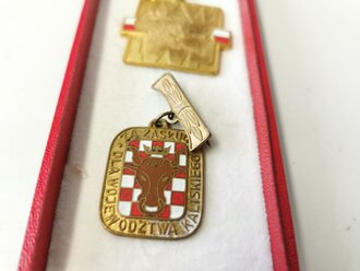 Polen Neuzeit, Uniform und Auszeichnungen des Brigadegeneral Andrzejowi Porajskiemu