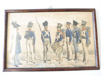 1tes Infanterie Regiment, Uniformkundliche Darstellung, alt gerahmt, Maße 15,5 x 24cm