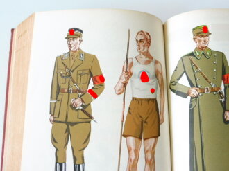 Organisationsbuch der NSDAP 6.Auflage 1940, Einband abgegriffen, sonst gut