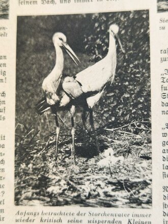 Das Deutsche Mädel - Die Zeitschrift des BDM, Jahrgang 1939 Juniheft, gelocht