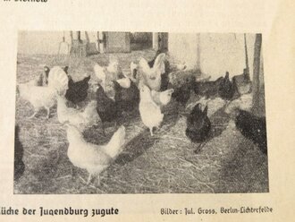 Jugend und Heimat "Das Brandenburger Land", Heft 5 / 18. Jahrgang Mai 1937, gelocht