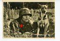 Ansichtskarte " Unsere Waffen SS, Der Melder und sein Hund"
