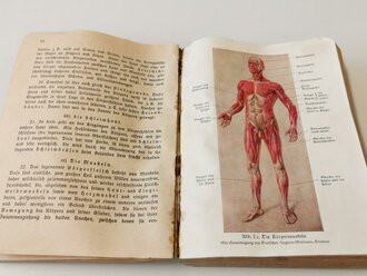 Amtliches Unterrichtsbuch des Deutschen Roten Kreuzes, Berlin 1930 mit 416 Seiten