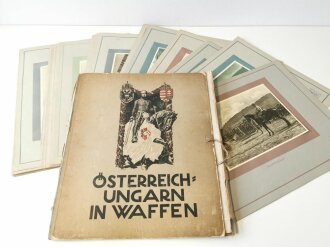 "Österreich- Ungarn in Waffen" Großformatige Mappe mit 50 Drucken, die Mappe desolat