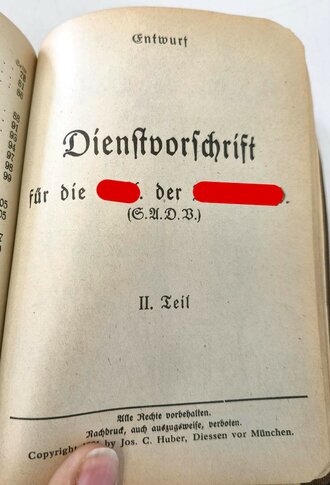 Dienstvorschrift für die SA der NSDAP, 270 Seiten