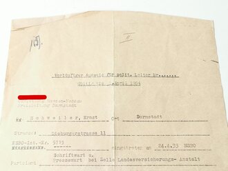Vorläufiger Ausweis für politische Leiter, ausgestellt Darmstadt 1934