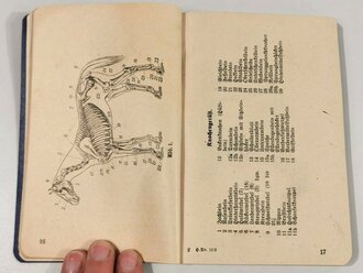 H.Dv.11/2 "Das Truppenpferd"  Heft 2 " Körperbau, Erkrankungen, Futtermittel" Berlin 1938 mit 207 Seiten