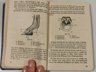 H.Dv.11/2 "Das Truppenpferd"  Heft 2 " Körperbau, Erkrankungen, Futtermittel" Berlin 1938 mit 207 Seiten