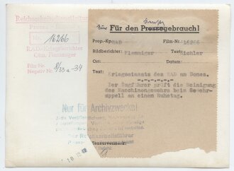 Presseaufnahme "Kriegseinsatz des RAD am Donez", Maße 18 x 13 cm