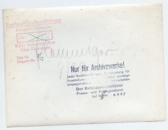 Presseaufnahme "Reichsarbeitsdienst", Maße 18 x 13 cm