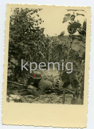 Angehörige des Heeres im Sonnenblumenfeld mit MG 34,...