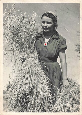 Ansichtskarte Reichsarbeitsdienst für die weibliche Jugend "Die Arbeitsmaid bei der Erntearbeit"