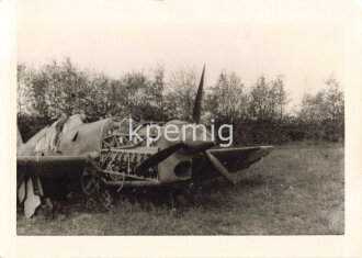 Aufnahme einer bauchgelandeten Caudron CR 714, Maße...