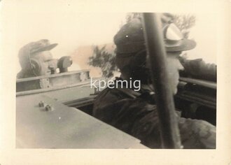 Angehörige der Waffen-SS in ihrem Sturmgeschütz sitzend, Maße 7 x 10 cm