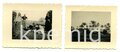 8 Aufnahmen von Angehörigen des Afrikakorps, Einmal mit Spähpanzer, Maße 4 x 5 cm