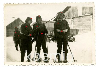 Aufnahme von Angehörigen des Heeres mit Ski und...