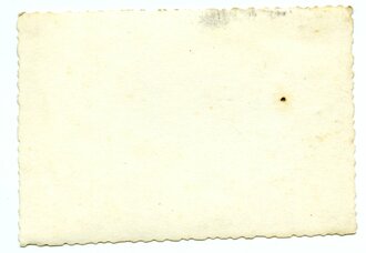 Aufnahme von Angehörigen des Heeres mit Ski und getarnten Patronentaschen, Maße 6  x 9 cm