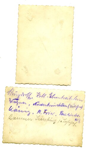 3 Gruppenaufnahmen von Angehörigen der deutschen Arbeitsfront, Maße von 6 x 9 cm bis 12 - 17 cm