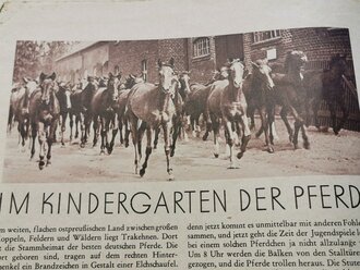"Deutsche Jugenburg", Jahrgang 1941/42, Jan.-Feb./Nr.4/5