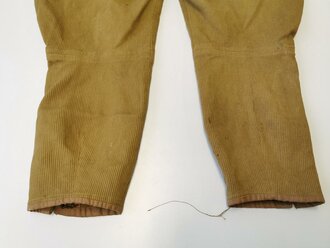 SA/ NSDAP  Stiefelhose aus Cord, ausgewaschenes RZM Etikett, in gutem Zustand, die Kragenspiegel lose beiliegend