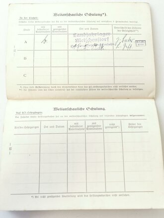 Hitler Jugend Leistungsbuch für einen Angehörigen im Bann 98 Hanau, eingetragenes Leistungsabzeichen in Eisen