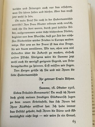 "Briefe eines deutschen Kampffliegers an ein junges Mädchen" Prof. Dr. Johannes Werner, 207 Seiten, DIN A6