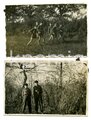 BDM, HJ, zehn Aufnahmen von Angehörigen der Hitlerjugend in einem Feldlager in Ostpreußen, Pfingsten 1944, maße 6 x 9cm