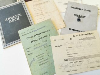 Konvolut Ausweise meist 2. Weltkrieg, alles mehr oder weniger defekt