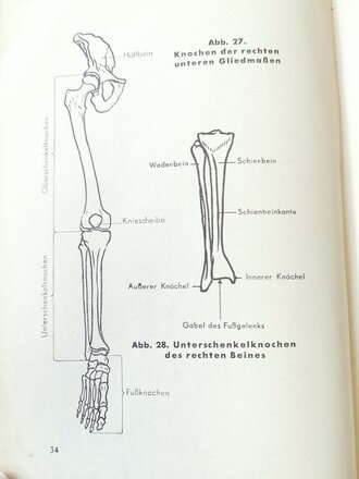 Amtliches Unterrichtsbuch über Erste Hilfe, datiert 1938, 263 Seiten, A5, Rücken lose