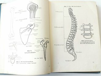 Amtliches Unterrichtsbuch über Erste Hilfe, datiert 1938, 263 Seiten, A5, Rücken lose