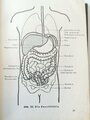 Amtliches Unterrichtsbuch über Erste Hilfe, datiert 1938, 263 Seiten, A5, Rücken lose