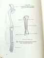 Amtliches Unterrichtsbuch über Erste Hilfe, datiert 1938, 263 Seiten, A5, Rücken lose