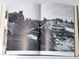 "Panzer Grenadiere der Panzerdivision Wiking im Bild", 299 Seiten, gebraucht, DIN A4