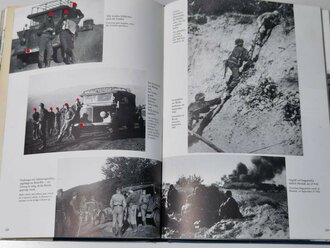 "Panzer Grenadiere der Panzerdivision Wiking im Bild", 299 Seiten, gebraucht, DIN A4