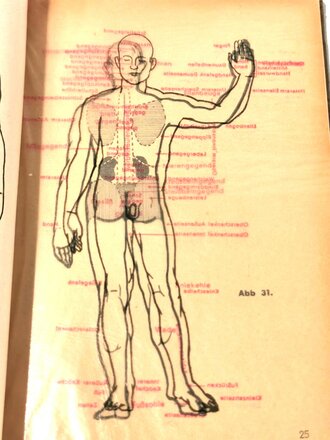 Amtliches Unterrichtsbuch über erste Hilfe von 1944, Einband löst sich, sonst gut und komplett