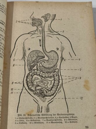 H.Dv.59 M.Dv Kr. 275, L.Dv59 Unterrichtsbuch für Sanitätsunteroffiziere und -mannschaften, datiert 1939, 431 Seiten, gebraucht