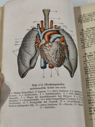 H.Dv.59 M.Dv Kr. 275, L.Dv59 Unterrichtsbuch für Sanitätsunteroffiziere und -mannschaften, datiert 1939, 431 Seiten, gebraucht