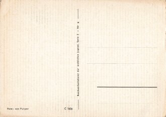 Ansichtskarte Reichsarbeitsdienst der weiblichen Jugend "Blumen gehören zu einem schönen Lager"