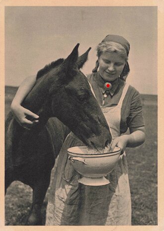 Ansichtskarte Weiblicher Reichsarbeitsdienst "Hanz Retzlaff Reichsarbeitsdienst für die weibliche Jugend"