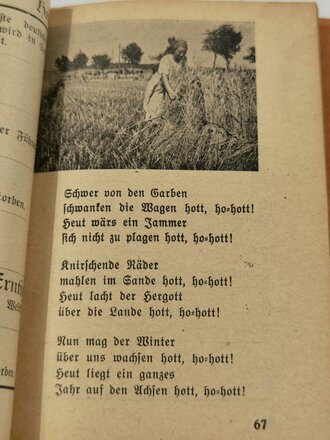 Jahrbuch der deutschen Jugend in Ungarn, datiert 1941, 200 Seiten, gebraucht, Umschlag gelöst, A3