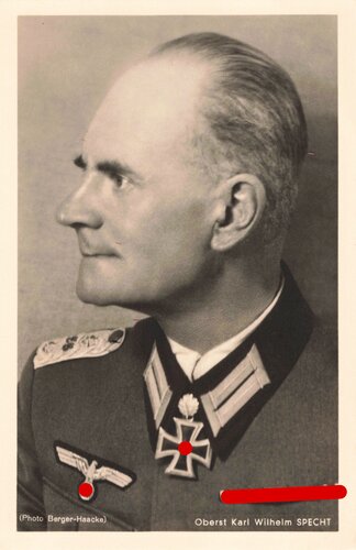 Hoffmann Fotopostkarte Ritterkreuzträger mit Eichenlaub Oberst Karl Wilhelm Specht