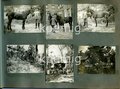 Fotoalbum 1. Weltkrieg Westfront, ca. 30 Fotos mit milit. Bezug, darunter Serie von 9 Aufnahmen eines Krupp 30,5 cm Mörser L/30 in Buntfarbentarnung (Tarnname: Beta-M-Gerät L/30, auch "Schwere Kartaune"), "Dicke Bertha"