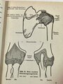 "Amtliches Unterrichtsbuch über Erste Hilfe", Richard Krueger, 263 Seiten, 6. Auflage 1939, gebraucht, DIN A5