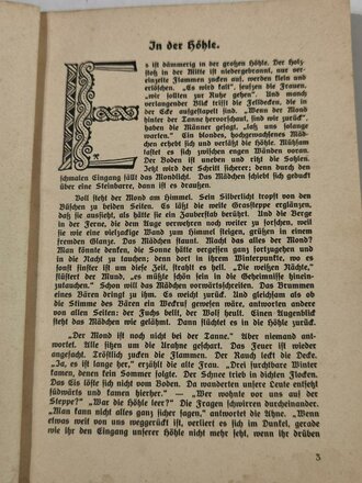 "Germanische Vorzeit. Leseheft für den 8. Jahrgang der pfälzischen Volksschule", Anonym/Pfälzischer Gaulehrerverein, 56 Seiten, ohne Jahr, Wasserschaden, gebraucht, DIN A5