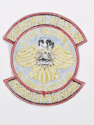 U.S. Navy "Black Crows Naval Intelligence" patch